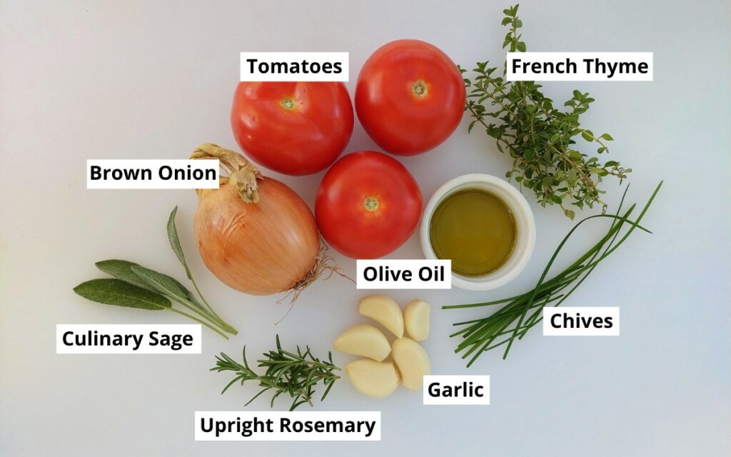 French Tomato Sauce Ingredients