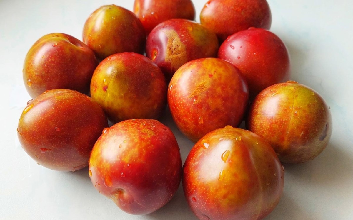 Delicious Summer Plums