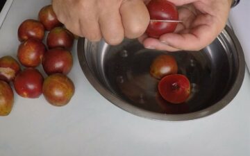 Pitting The Plums