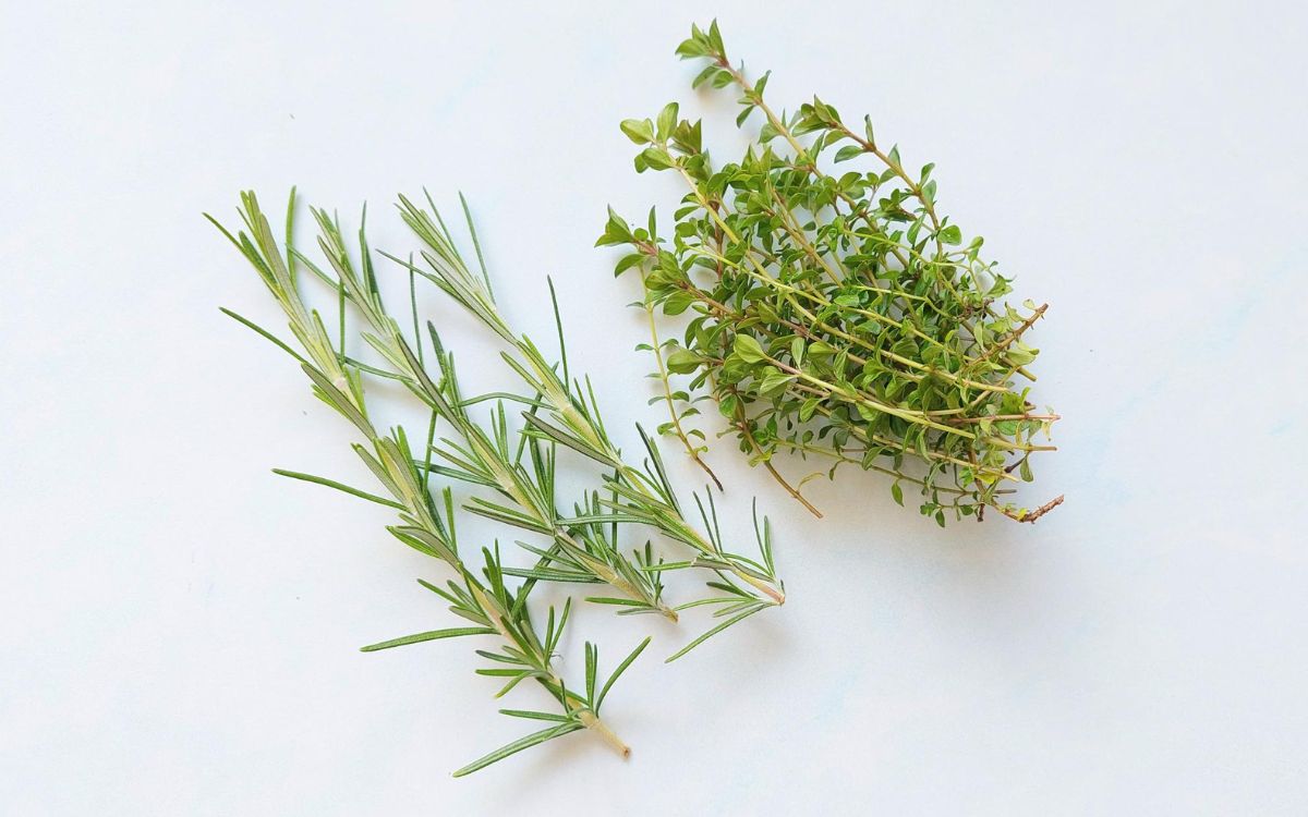 Fresh Rosemary and Thyme
